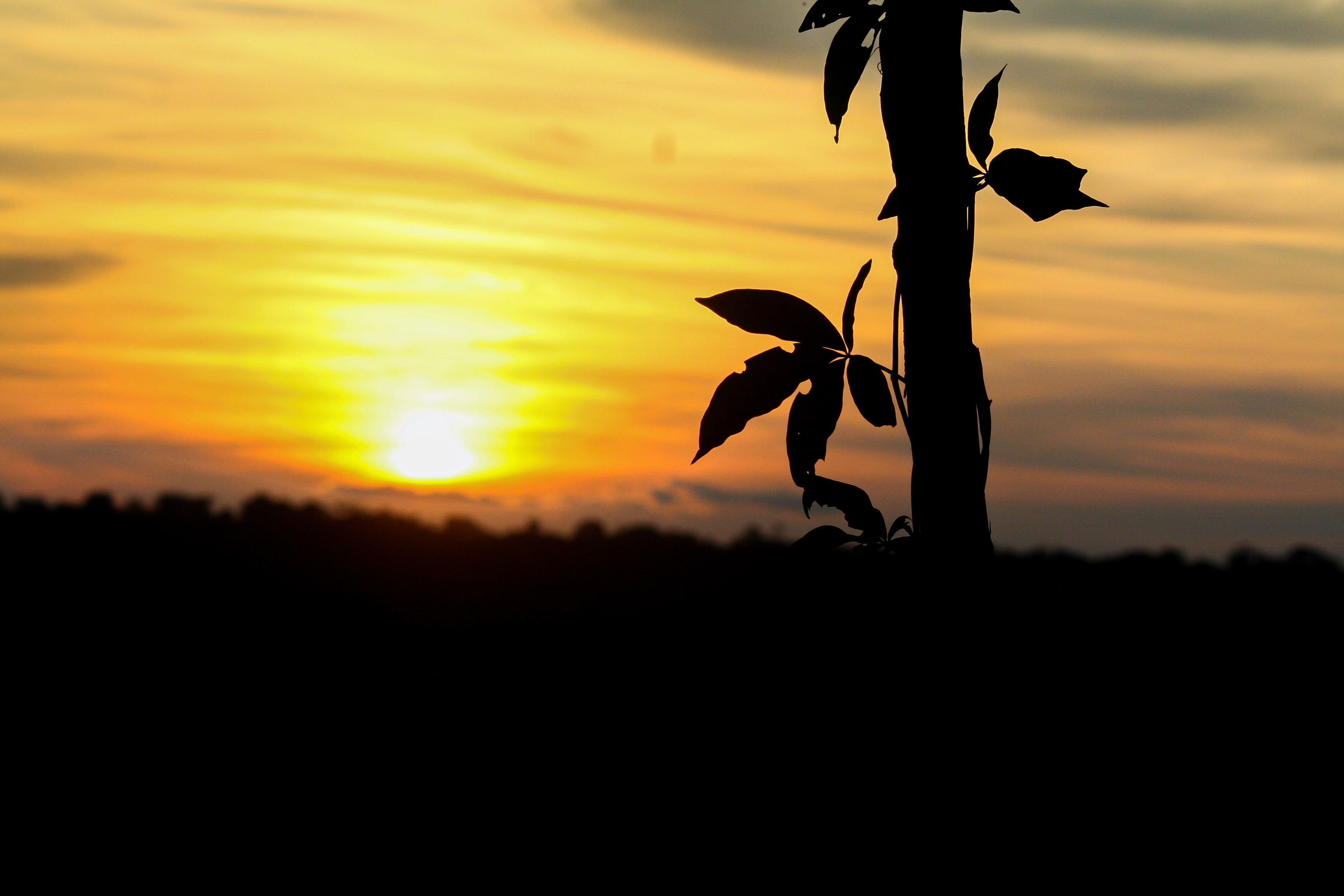 an image of a sunset